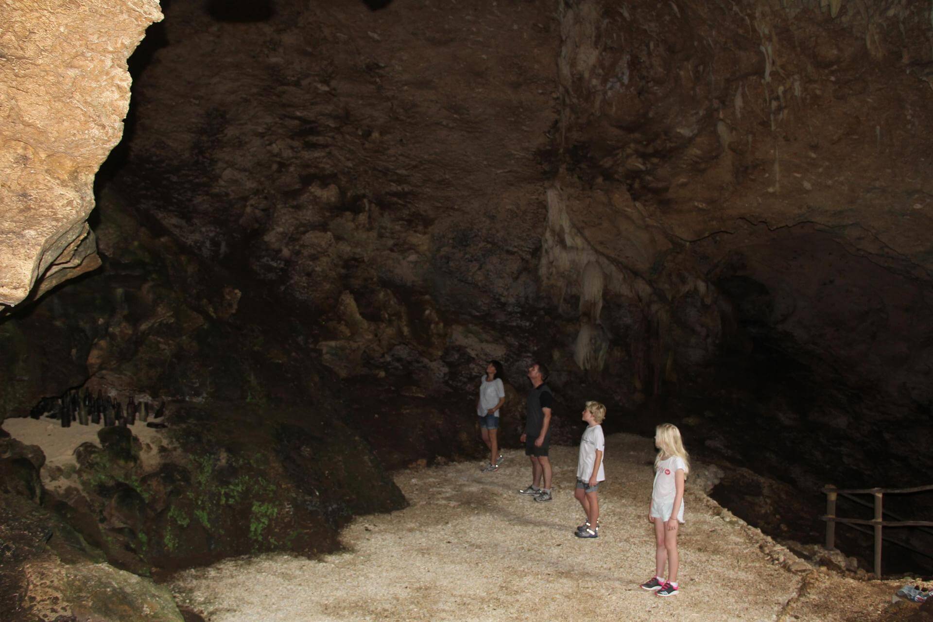 Aore Island Bat Cave